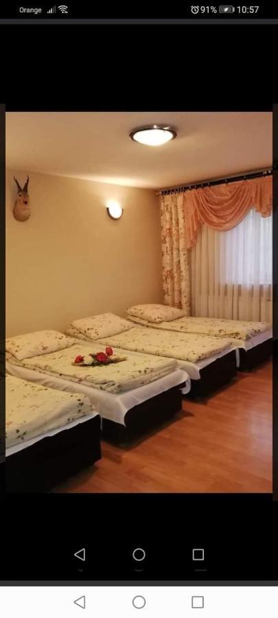 Agroturystyka Pod Lasem Poronin Exterior photo